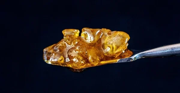 Concentrate Photo