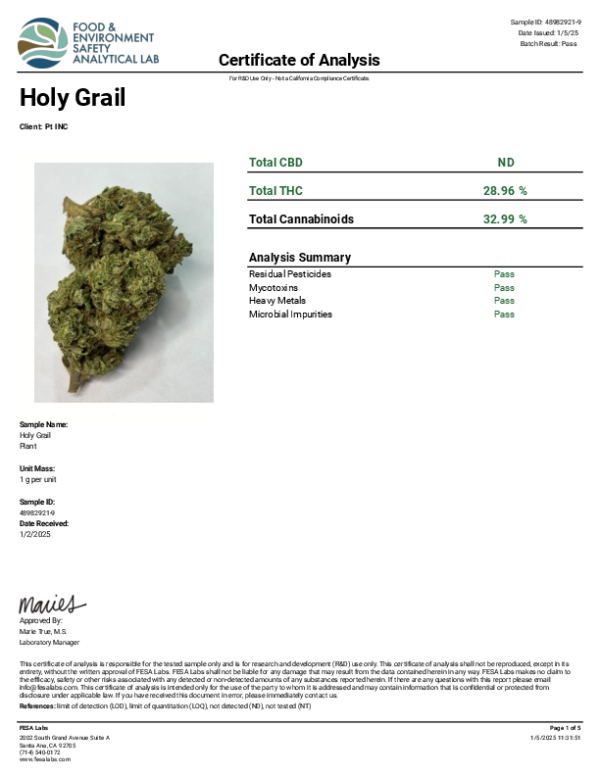 Holy Grail - Image 2