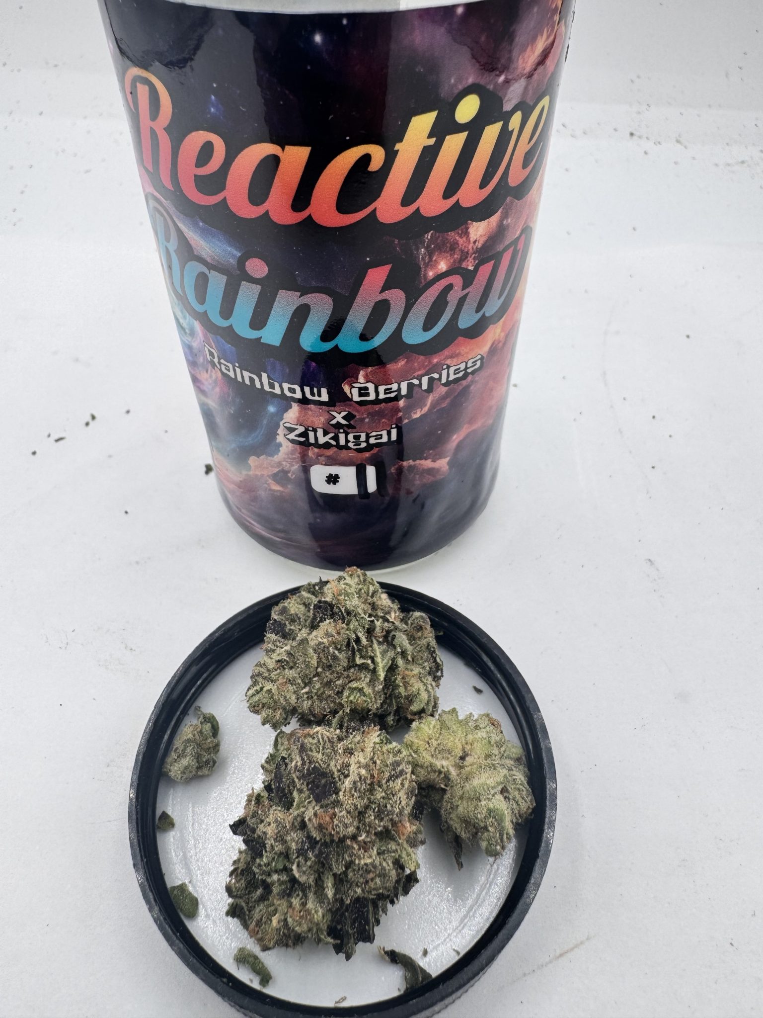 Multiple phenotypes of Reactive Rainbow (Rainbow Berries x Zikigai) by Raw Genetics, displayed with labeled jars and frosty cannabis buds