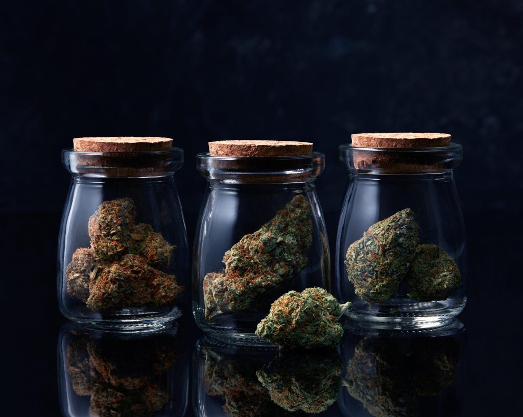 best THCA flower strains for beginners display jars