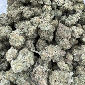 Pile of Sakura Cannabis Flower with frosty trichomes and purple-green coloration.