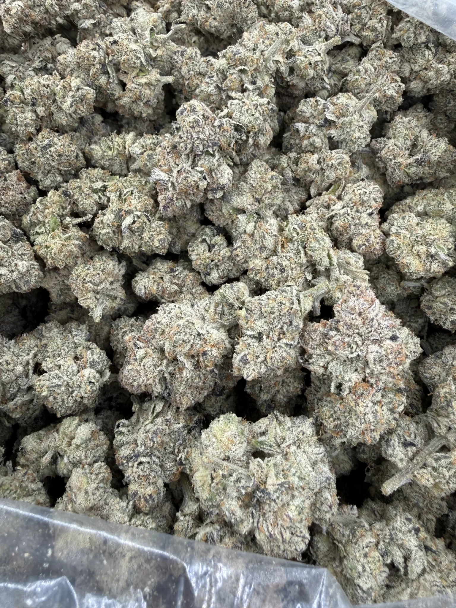 Captain Caveman Bx– 1 OZ