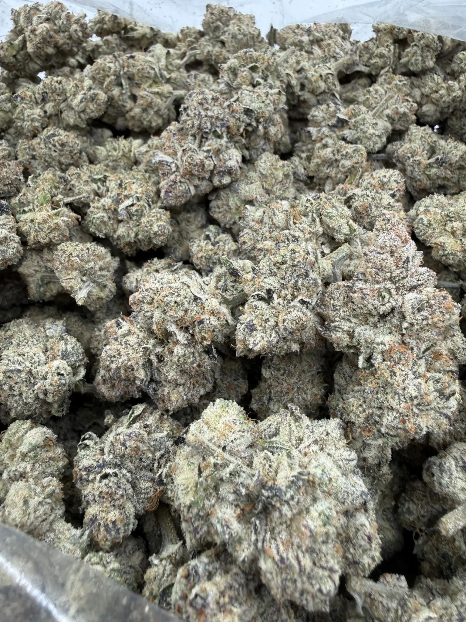 Captain Caveman Bx– 1 OZ - Image 4