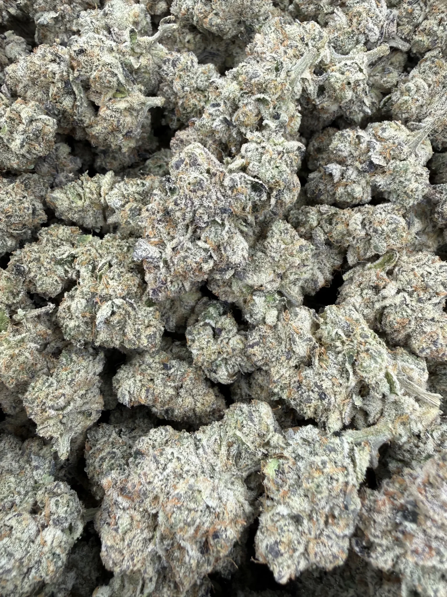 Captain Caveman Bx– 1 OZ - Image 2