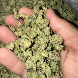 Blue Dream loud flower bag shot product image for Pack Trapper