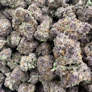 Tropicana Cherry loud flower with heavy frost, purple-bronze buds, and dense amber pistil coverage