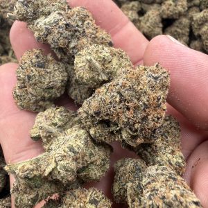Sour Lifesaver loud flower macro with sugary trichome frost and dense bud structure