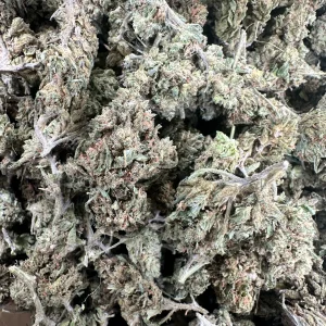 Zkittles strain loud flower with thick frosty trichome coating and dense silvery-white crystals covering dark green leafy buds