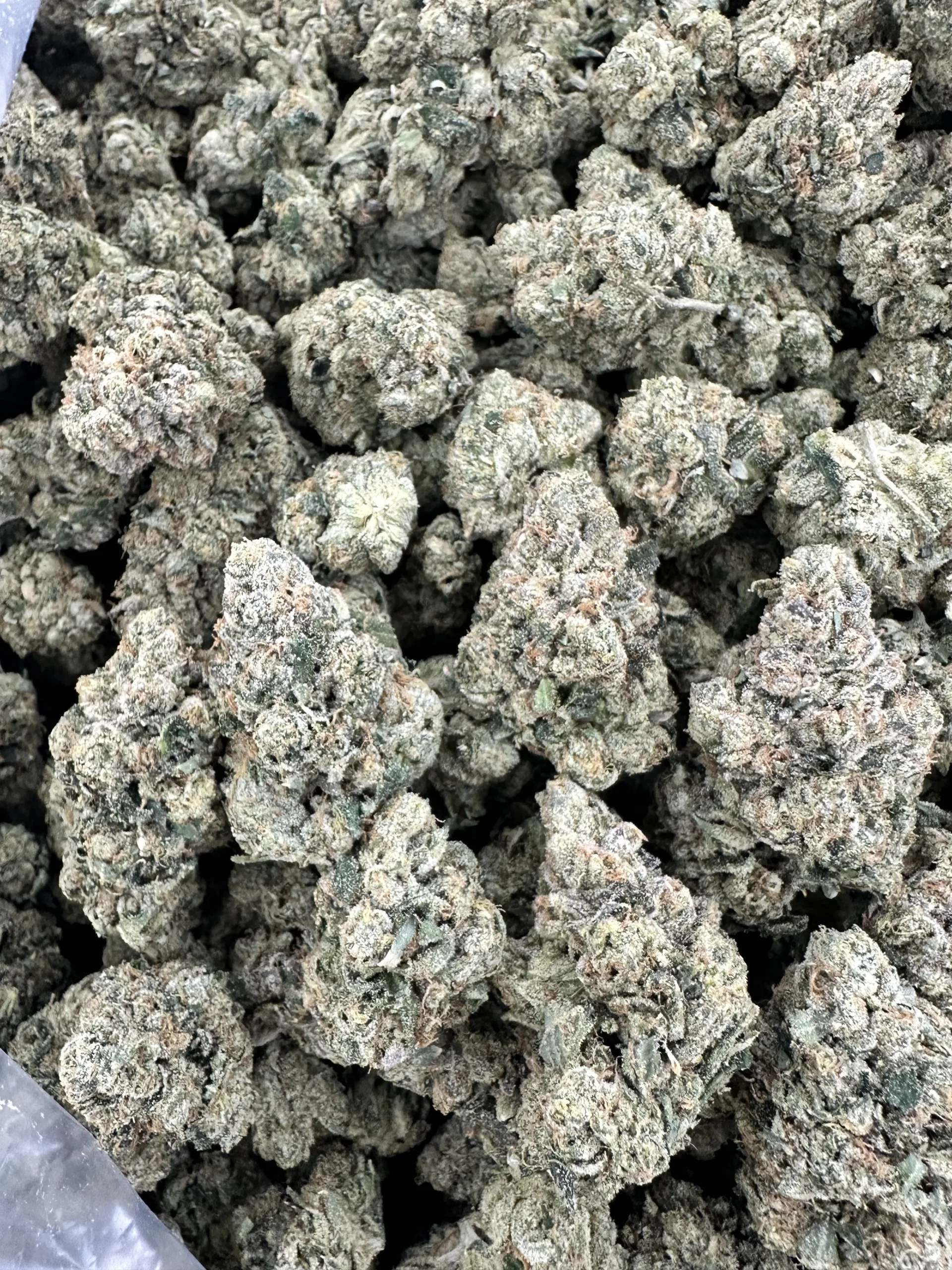 Kami Kush loud flower close-up showing packed buds frosted with trichomes in sage-green and silvery-white throughout