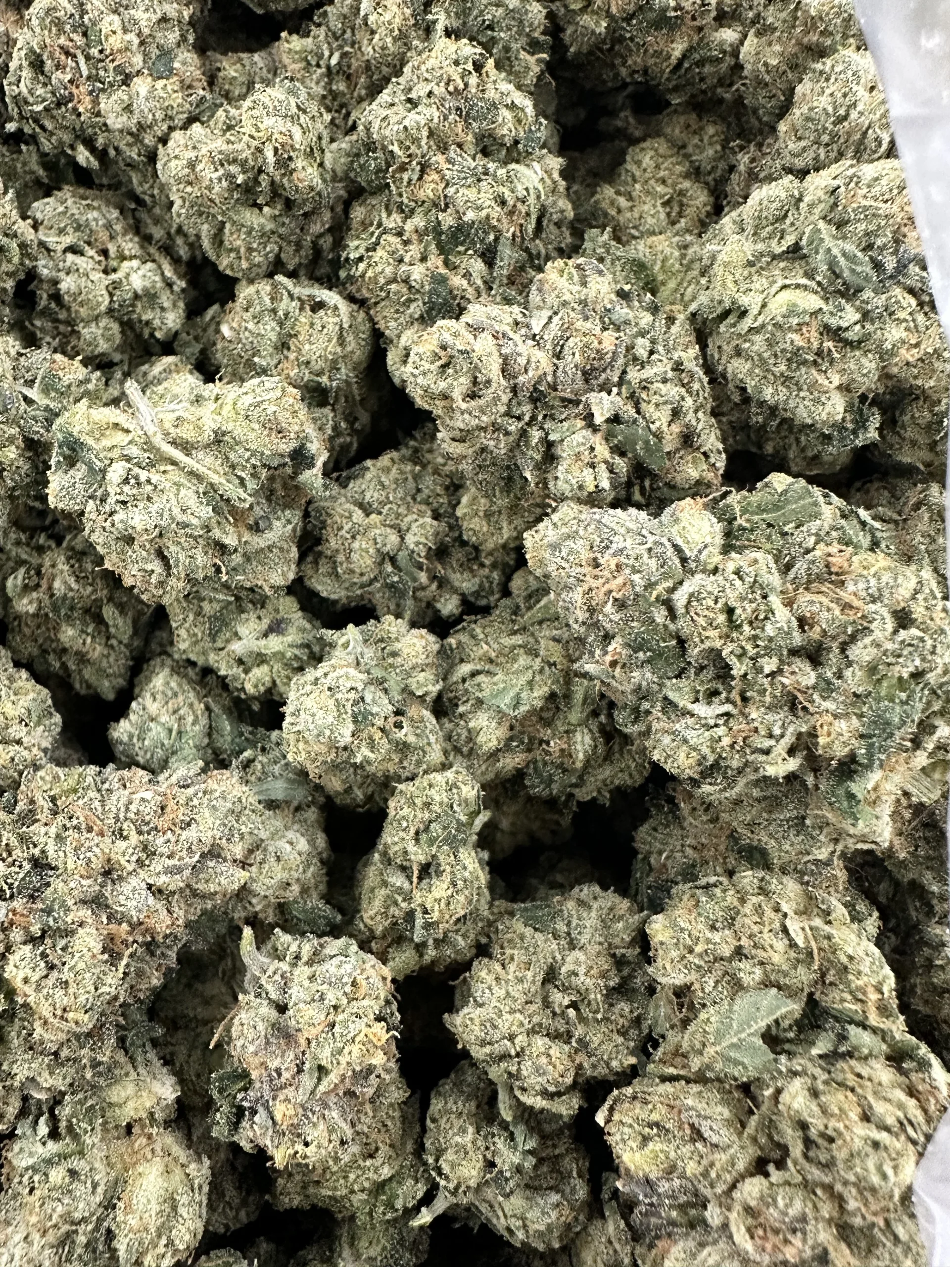Kami Kush close-up with heavy frost coverage, dense silvery-white trichomes, and tight bud structure