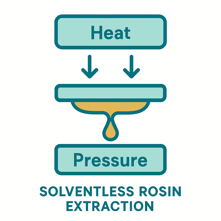 Diagram showing solventless rosin extraction using heat and pressure