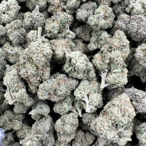 Blue Cheese loud flower showing frosted dense bud structure with cream and sage tones and heavy trichome frost throughout