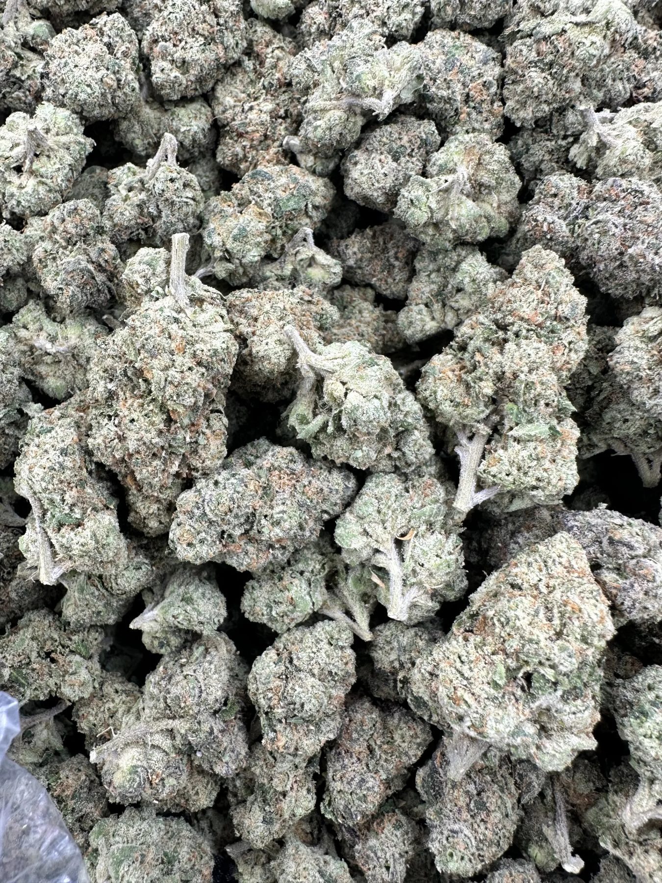 Blue Cheese loud flower showing frosted dense bud structure with cream and sage tones and heavy trichome frost throughout