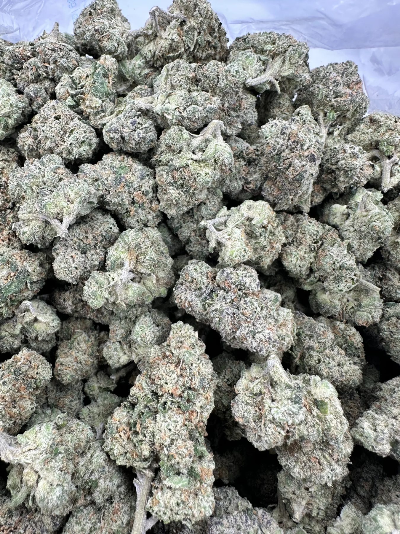 blue cheese with heavy frost and dense bud structure