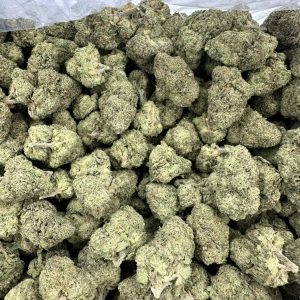 Blue Runtz loud flower macro packed with frosted buds and dense trichome coverage, sage-green heat