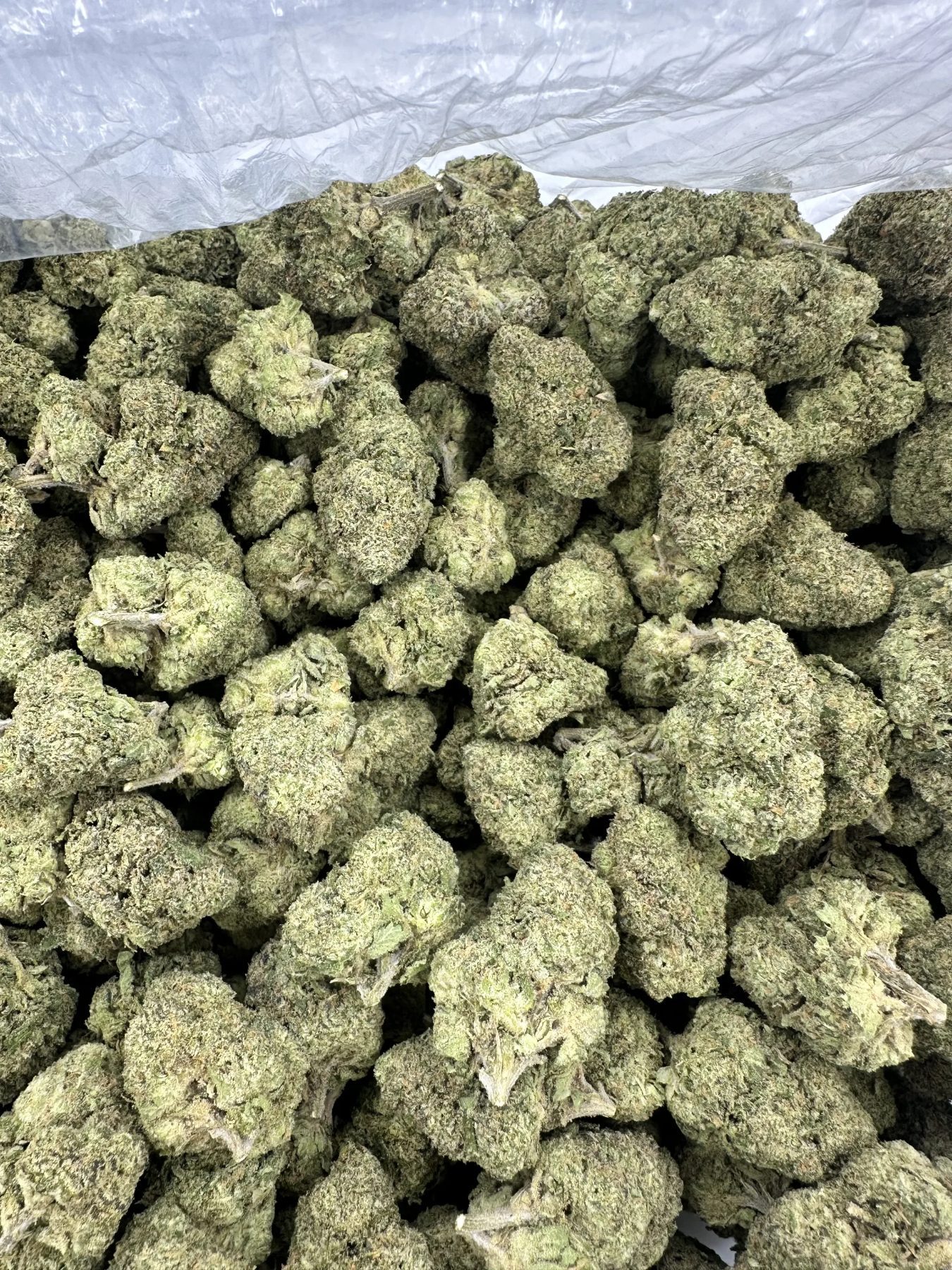 Blue Runtz loud flower macro packed with frosted buds and dense trichome coverage, sage-green heat