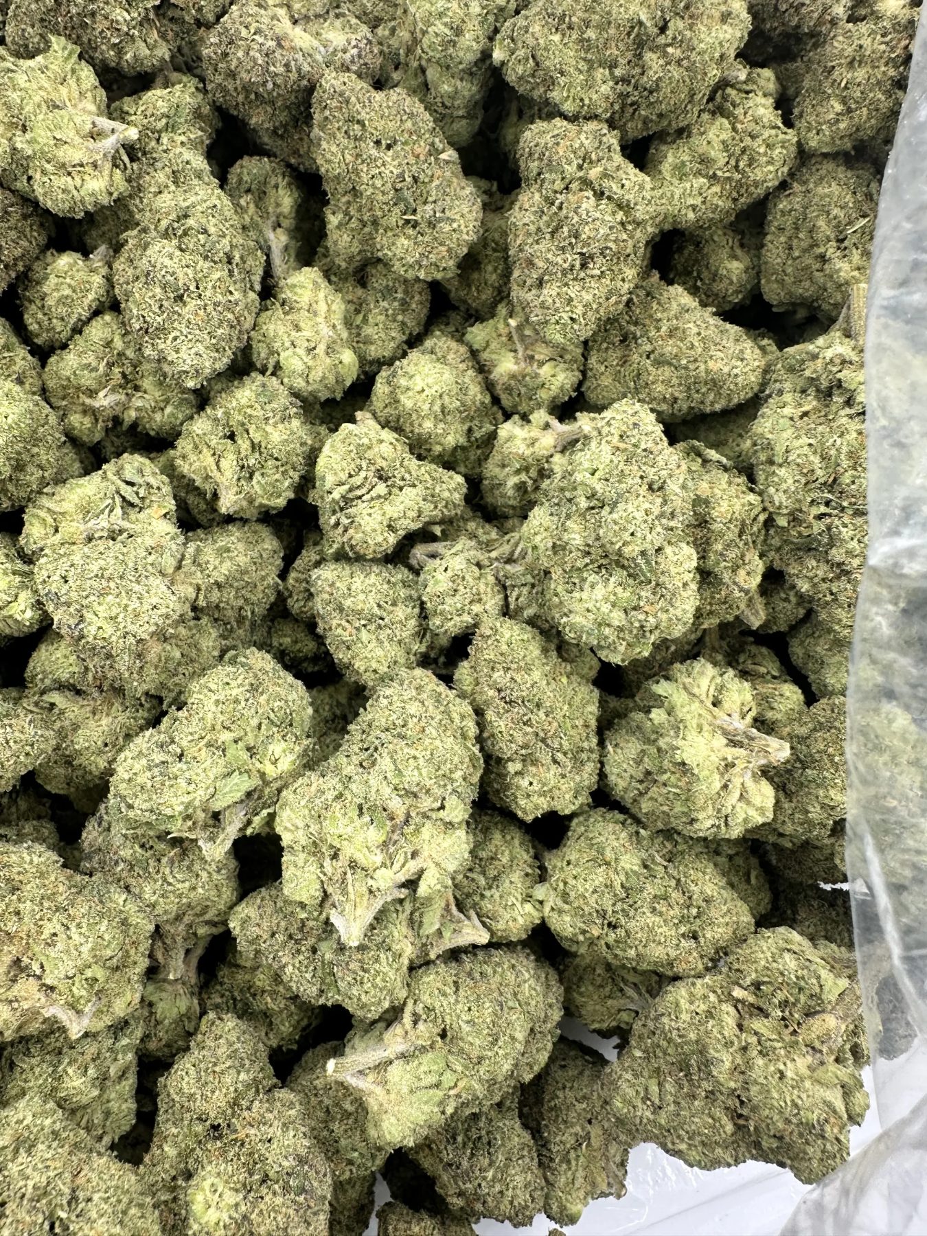 Blue Runtz macro showing heavy frost, dense bud structure, and premium exotic appearance