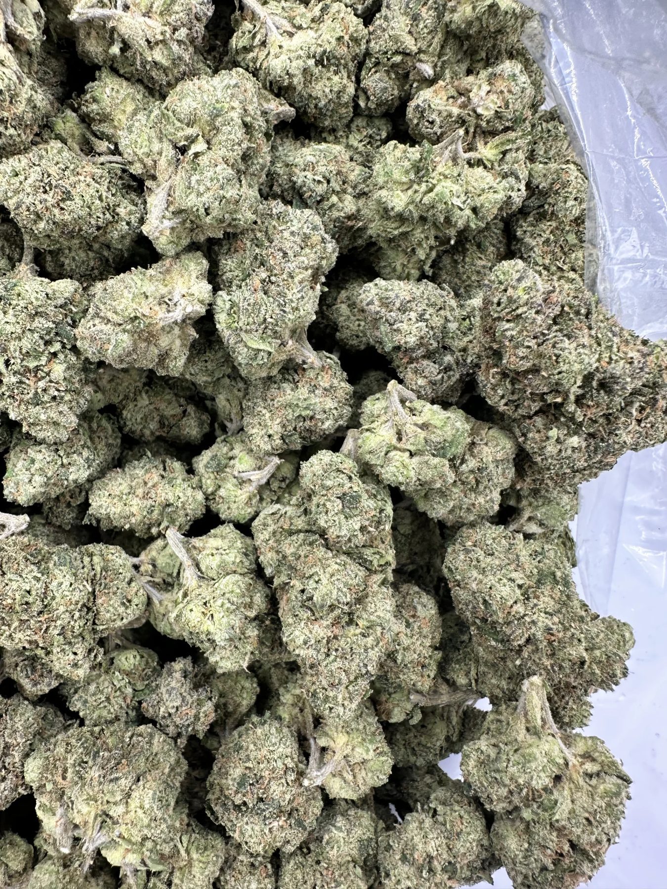 Cherry Bomb Loud Flower Drop | Pack Trapper Exotics