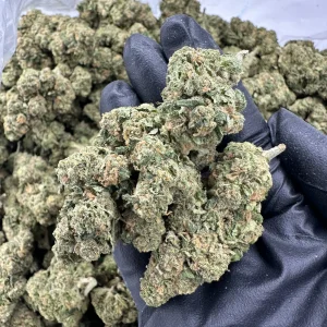 Grapple Pie loud flower macro displaying frosty lime-green nugs with dense trichome coverage on hand-held buds