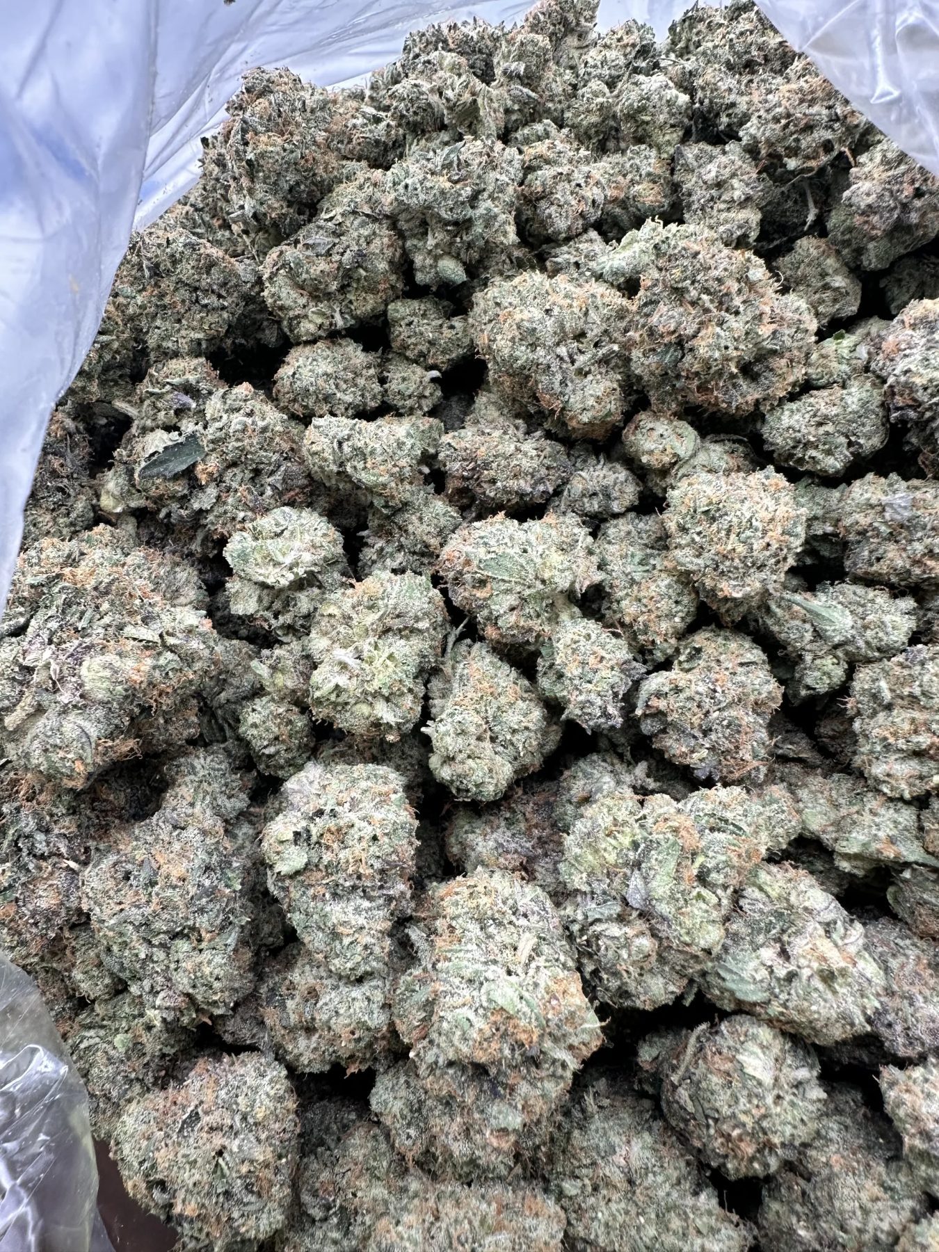 Kaizen loud strain flower pack with fire frosted buds showing heavy silver trichome coating and orange pistil heat