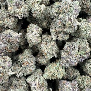 OZ Kush loud flower macro with loud frosty trichome coverage and dense purple-green calyx clusters