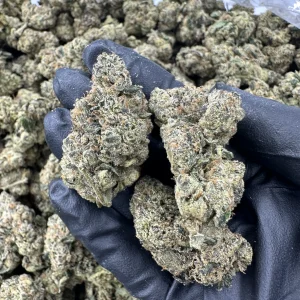 Pink Lemonade loud flower macro showing two fire buds frosted out with heavy trichome coverage