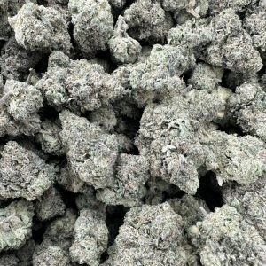 Zlushie strain loud flower with extreme white crystal frosting covering multiple frosted buds in dense cluster formation